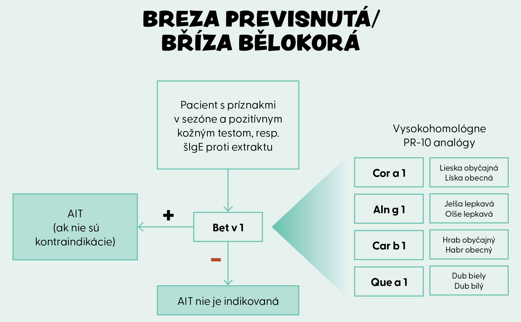 Komponentová diagnostika alergie na dreviny